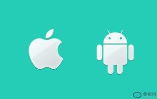 国产青蛙手机在线观看