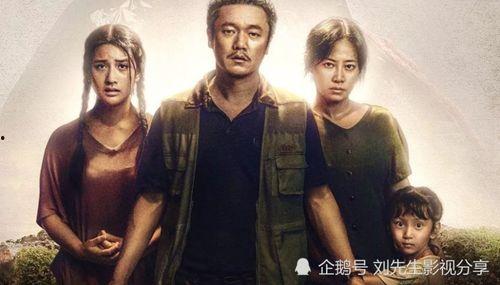 国产电影的翻拍在线观看,在线观看重温经典魅力