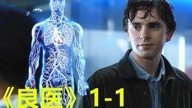 国产版良医在线免费观看,国产医疗剧良医在线带你走进医疗世界