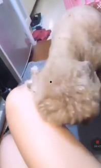 国产女主播在线啪,在线互动背后的真实故事